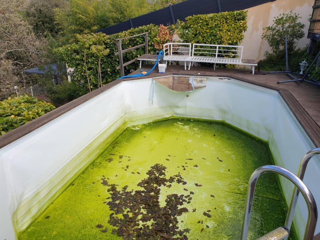 20210407114902jpg_61eb411aca8d3 (1)