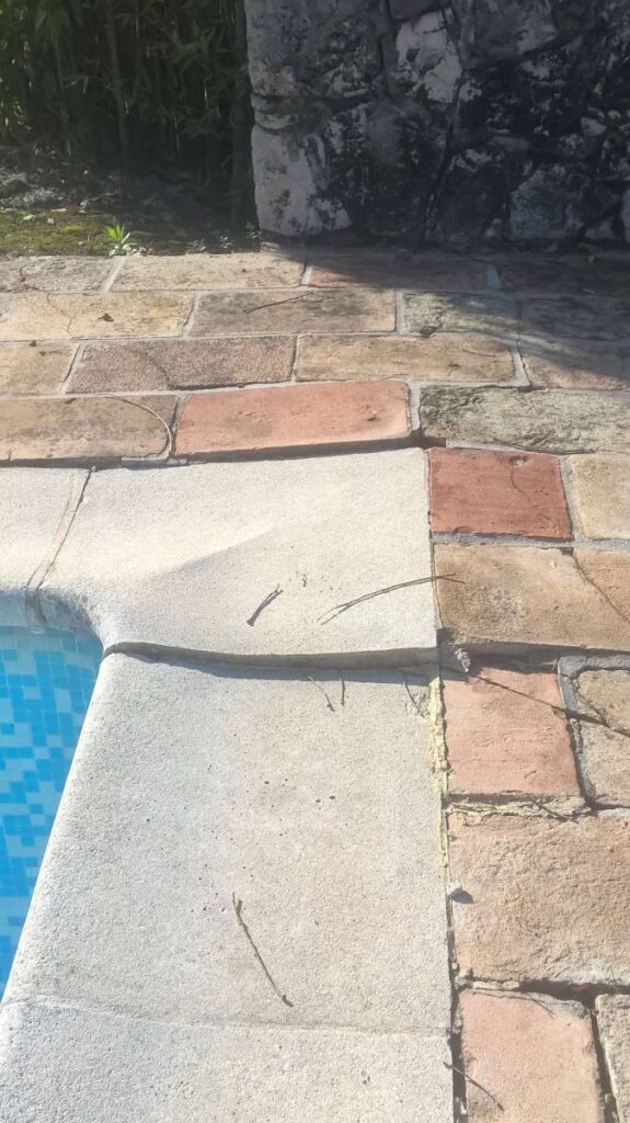 WP20161020105210Pro2jpg_5c439abf2c1d9