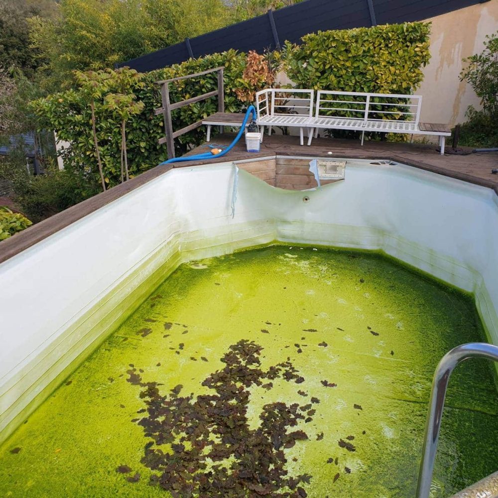 20210407114902jpg_61eb411aca8d3 (1)